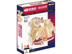 4D MASTERS 4D HUMAN ANATOMY - NOSE & OLFACTORY
