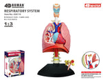 4D MASTERS 4D HUMAN ANATOMY - RESPIRATORY SYSTEM