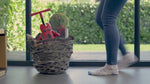 Mookie Scuttle Bug Beetle – Red & Black